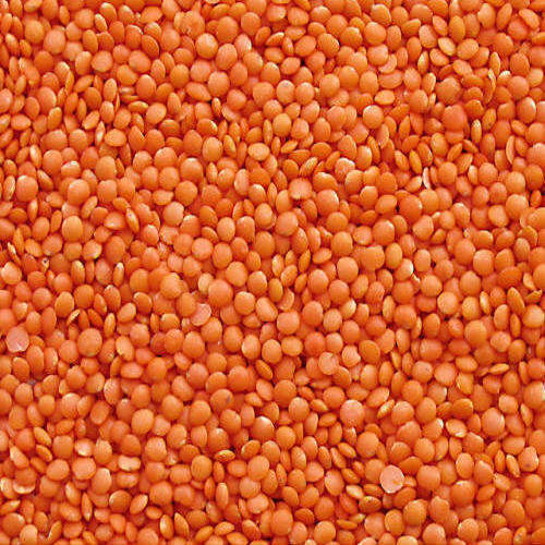 মসুরের ডাল ১ কেজি